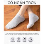 [QUÀ TẶNG KHÔNG BÁN] Vớ trắng trơn cổ ngắn