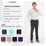 Áo sơ mi nam trung niên PAPAGO tay dài vải kate màu trơn - P23SDKT001 - Ảnh 2