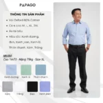 Áo sơ mi nam trung niên vải Oxford trơn cao cấp tay dài PAPAGO túi thêu logo - P23SDCT001 - Ảnh 2