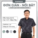 Áo sơ mi nam Trung niên tay ngắn PAPAGO vải Lụa in hoạ tiết - P23SNHT001 - Ảnh 2