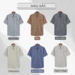 Áo sơ mi Trung niên PAPAGO tay ngắn kẻ sọc vải Xô đũi - P23SNKD001 - Ảnh 5