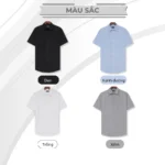 Áo sơ mi nam PAPAGO vải Oxford tay ngắn lai bầu - P24SNCT001 - Ảnh 5