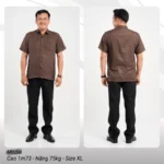 Áo sơ mi nam trung niên PAPAGO màu Nâu tay ngắn lai ngang vải Xô đũi - P23SNCR009 - Ảnh 5