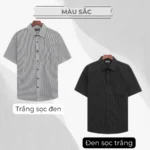 Áo sơ mi nam Trung niên PAPAGO tay ngắn lai bầu họa tiết sọc nhí -  P23SNKD002 - Ảnh 5